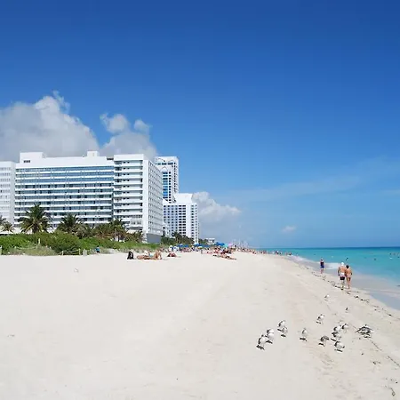 Miami Vacations Corporate Rentals - Monte Carlo